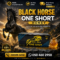 Black Horse One Shot Honey