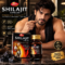 Dabur Shilajit Capsules